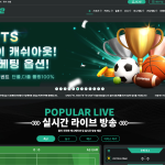 한 번 접속하면 분위기에 휩쓸린다는 화제의 스포츠 베팅 플랫폼 실체 공개